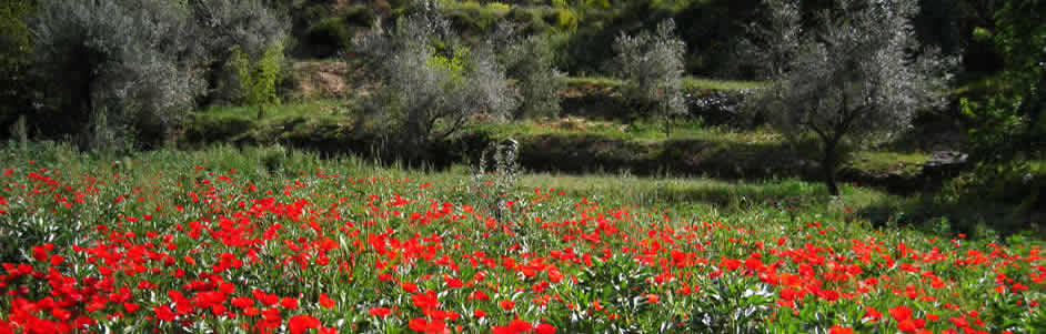 Alpujarra Granadina