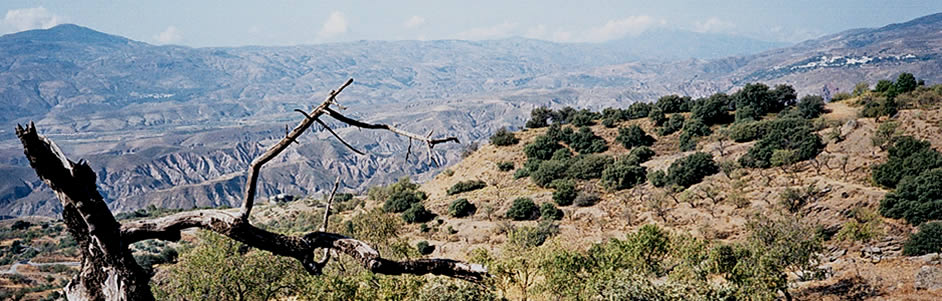 Alpujarra alta