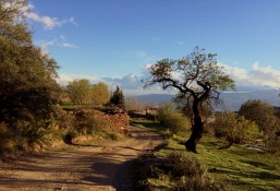 casa rural Alpujarras