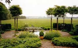 polder in de tuin